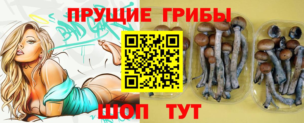 Галлюциногенные грибы мицелий Великие Луки